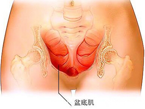 生过孩子漏尿如何治愈,生了孩子漏尿怎么改善
