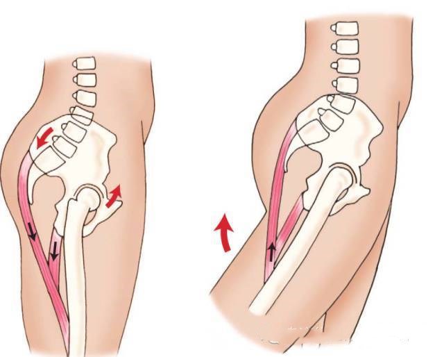 三·膝关节后侧痛