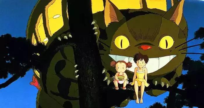 龙猫最久能活多久,龙猫30秒