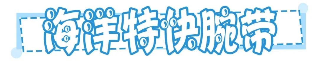 玩转珠海长隆全攻略,玩转珠海长隆海洋王国全攻略