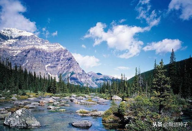 期货交易手续费一览,期货交易5分钟战法