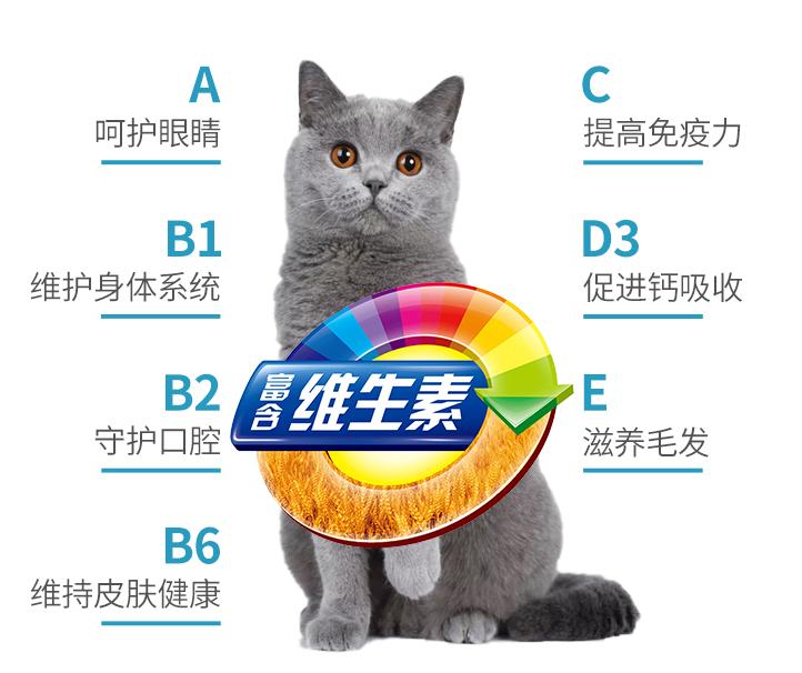 犬猫复合维生素,宠物猫怎么补维生素呢