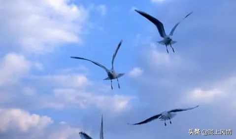 倾情托起未来的蓝天——启迪心智幼儿园的一节课