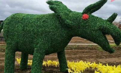 玩真人cs攻略,真人cs户外野战运动去哪玩