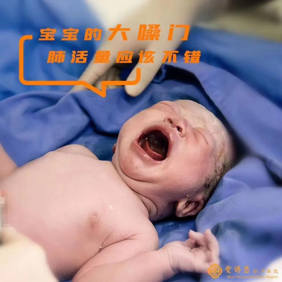 月子餐明星推荐,明星试吃月子餐