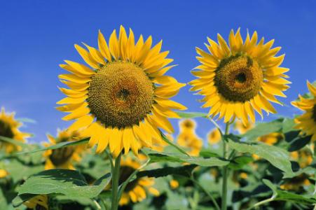 网赌和现实有什么区别,网赌你知道后台有多可怕吗