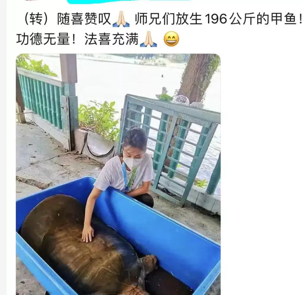 1965年的黄河巨龟到底长什么样,1965年黄河巨龟事件的视频