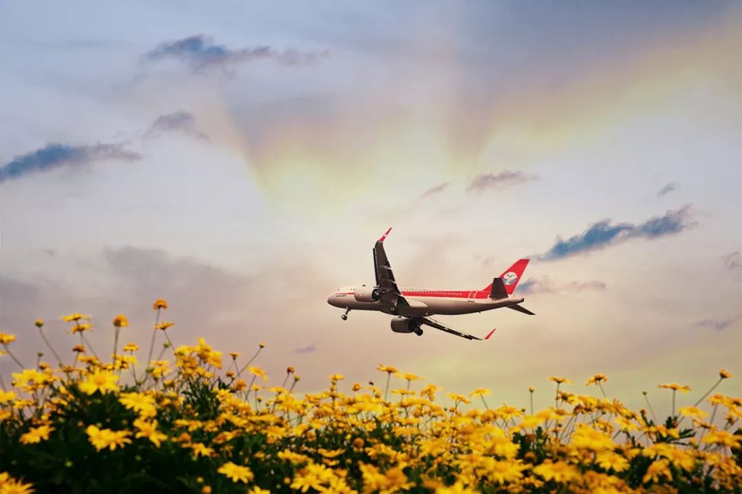 踏青打卡好去处双流空港公园,成都双流的三大新的生态公园