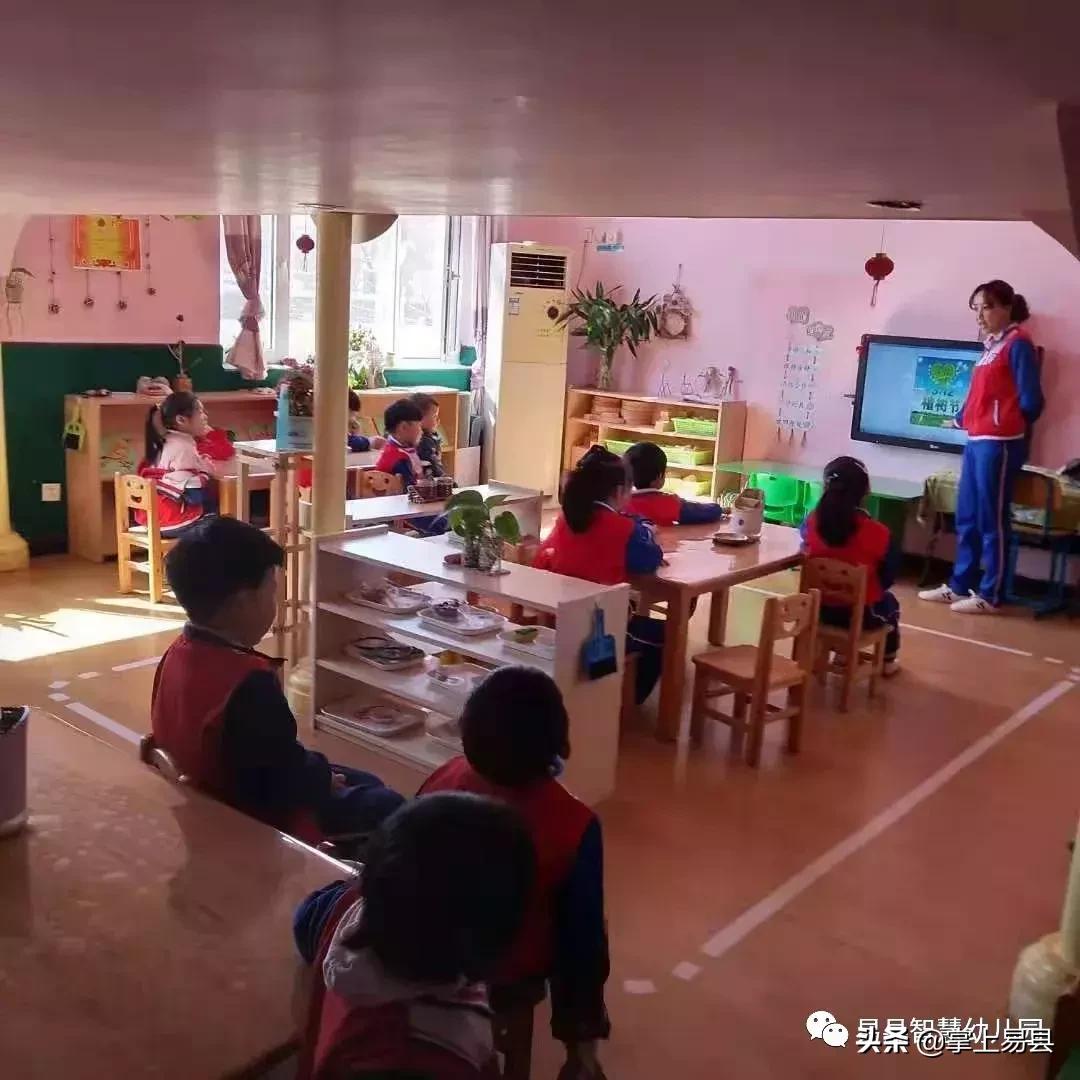 金山银山不如绿水青山植树活动,幼儿园绿水青山就是金山银山