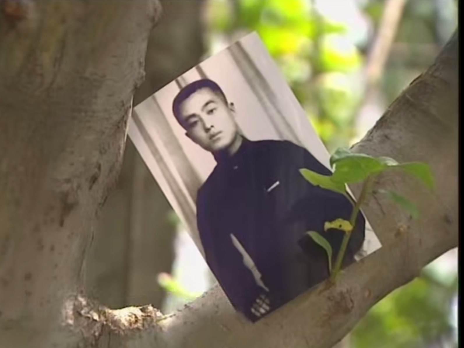 季羡林采访回顾五：变身宿舍看门人，偷偷用纸条译出三百万字