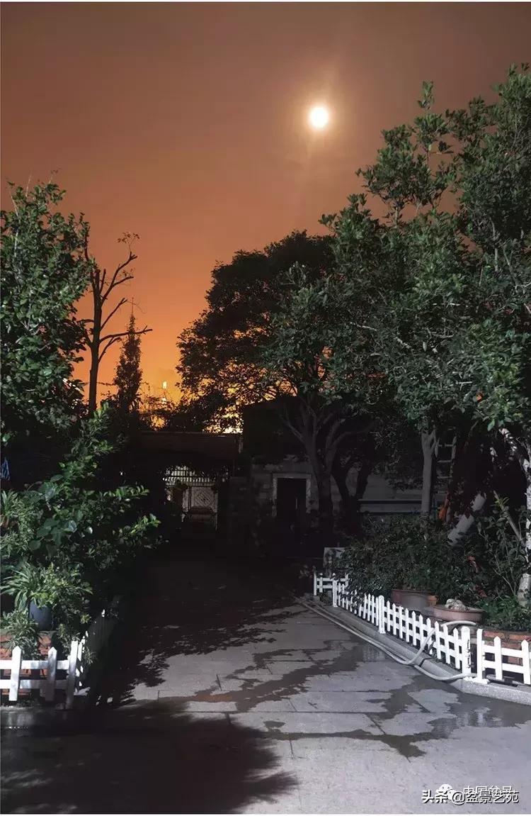 陈文图榕树欣赏,陈文图盆景