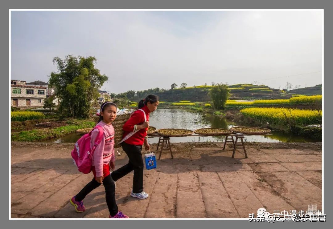 四川岳池坪滩旅游,岳池坪滩游玩攻略