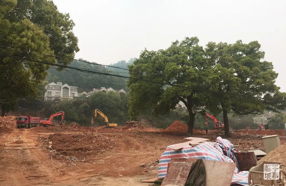 临平体育公园游泳,临平体育公园篮球场地