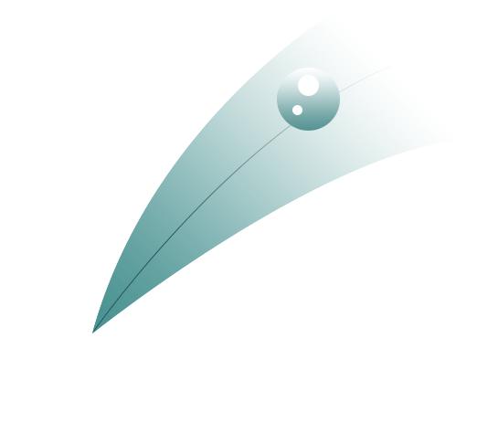 安吉纳体育代理,安吉纳体育用品旗舰店