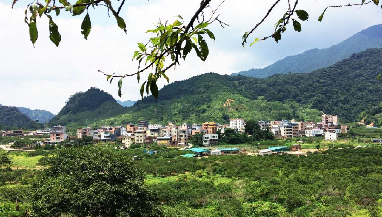 从化溪头村周边2日游最佳路线,从化溪头村游玩攻略11月