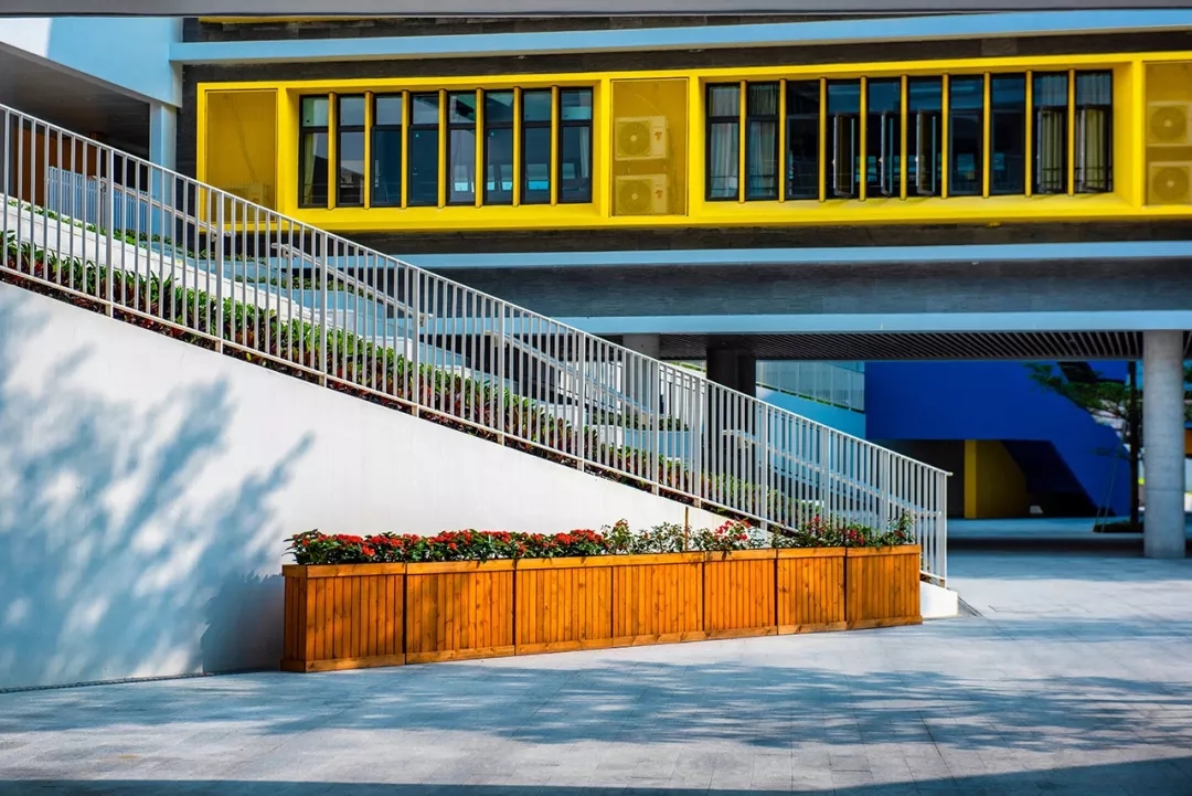 龙岗华中师范附属龙园学校怎么样,华中师大附属龙园学校深圳排名