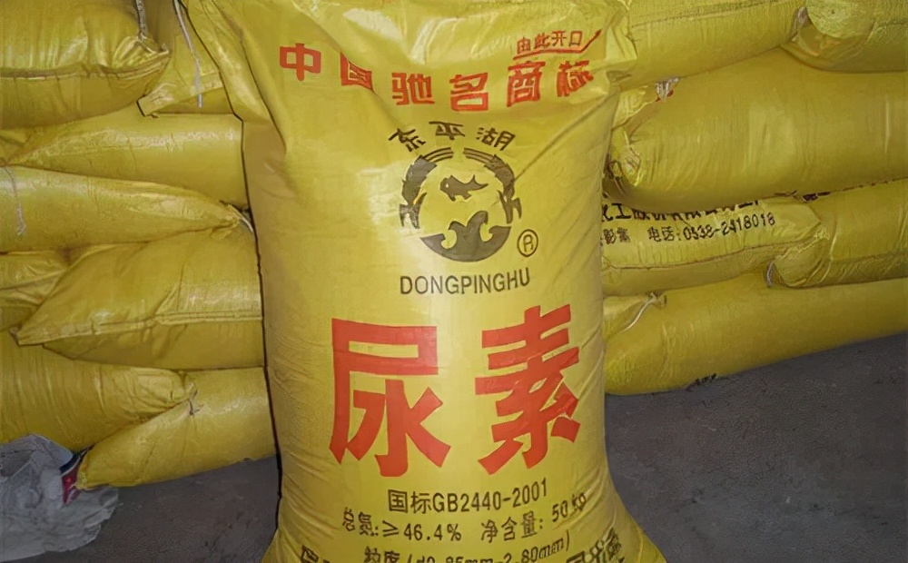 向中国紧急求助,韩国怎么就被小小的尿素卡脖子了?