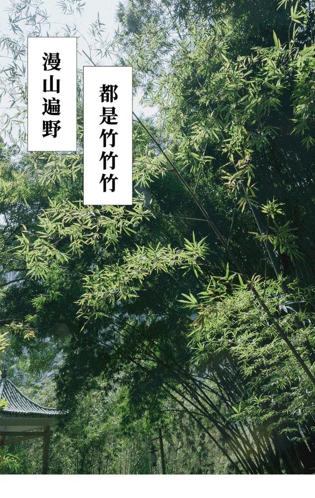 重庆轨道3号线,贵阳地铁3号线