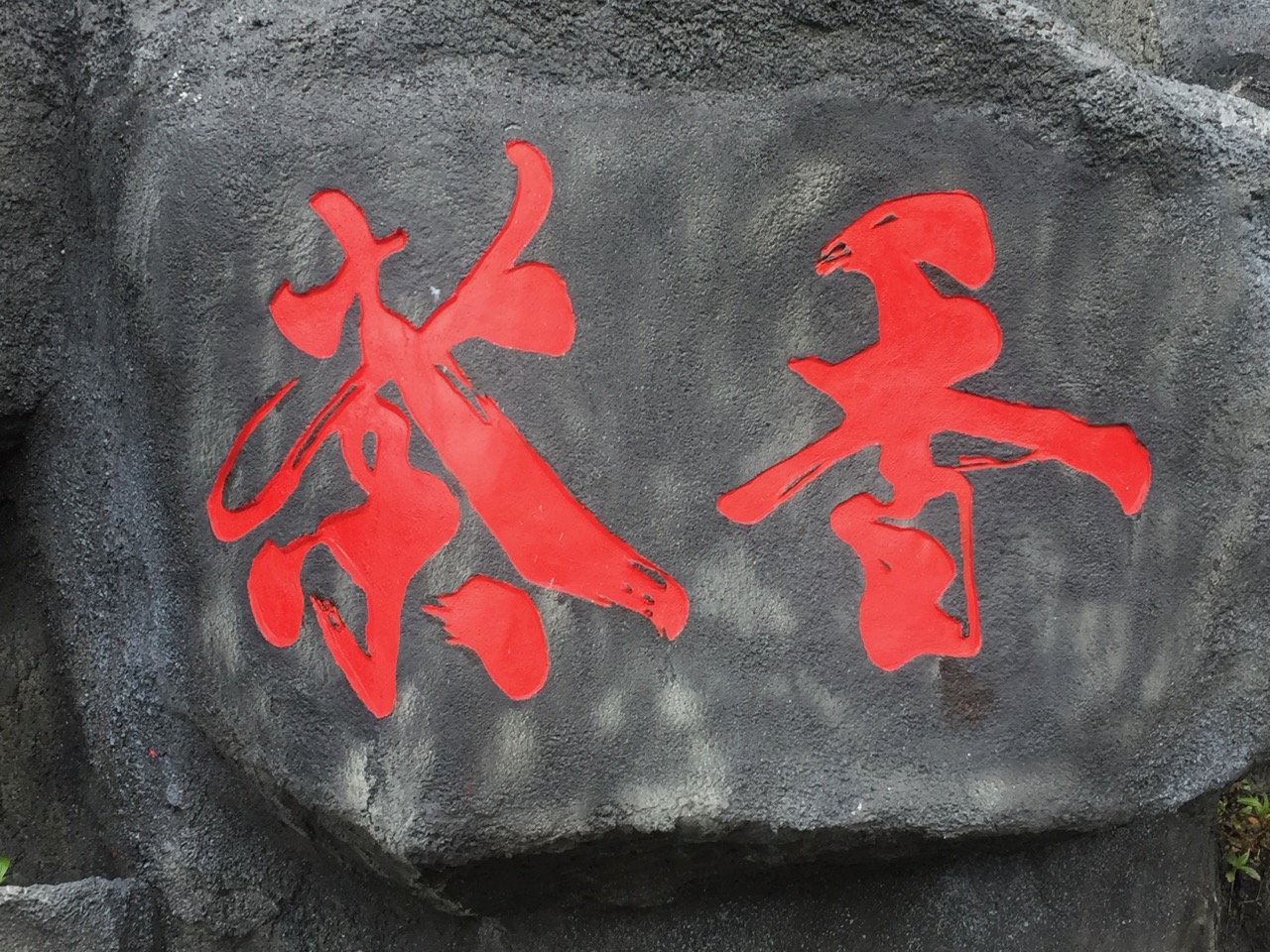 海南候鸟旅行,内陆候鸟自驾海南过冬