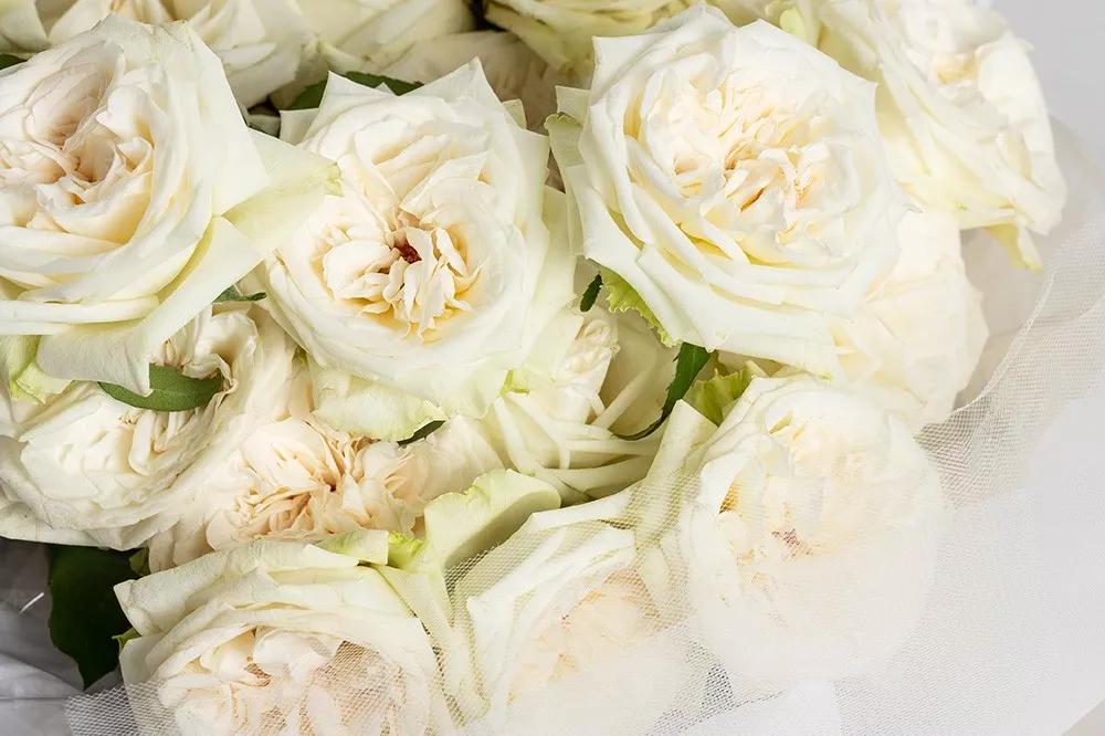 一篇文章带你认识三亚40种花,鲜花图鉴一次性认识30种玫瑰花