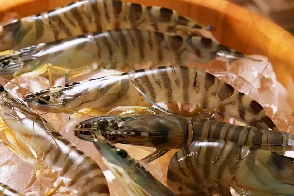 如何区分基围虾罗氏虾明虾,明虾基围虾与罗氏虾有什么区别