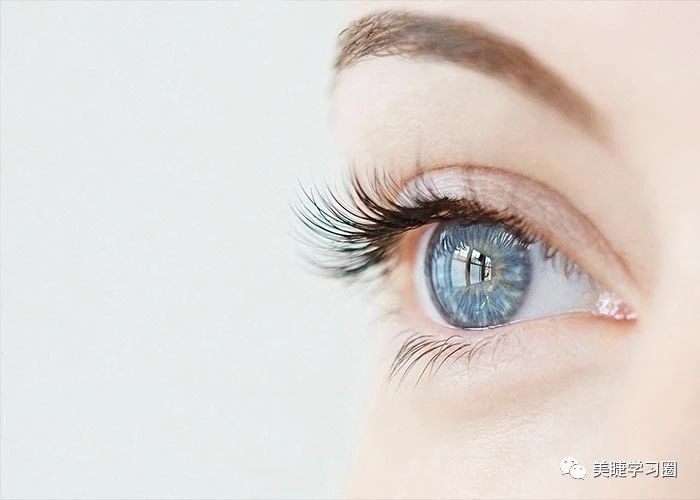 日式美睫是什么,日式跟中式美睫区别
