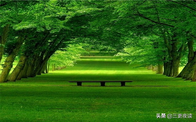 夜读人生懂得低头才能出头,夜读人生不怕起点低