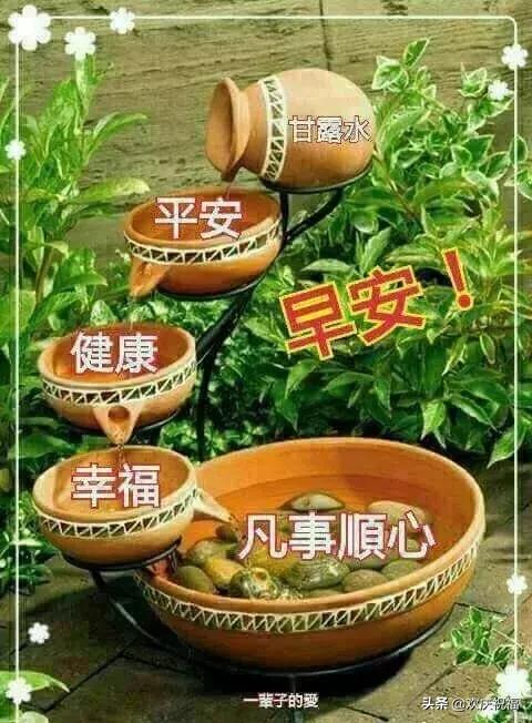 适合发朋友圈的祝福语配图,早上好正能量祝福问候