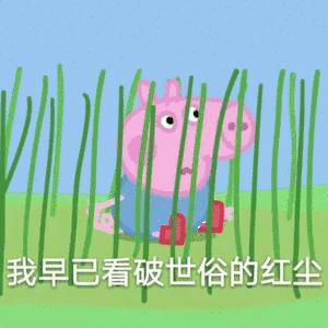 今天扒叔要说一位中花的瓜哦