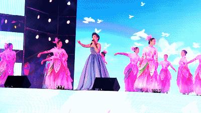 读一所校园环境和学习氛围全方位一流的大学是什么体验？