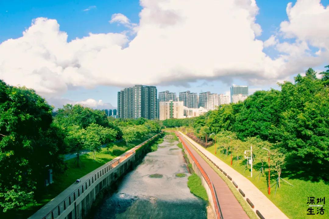 西丽富人区是真的吗,西丽富人区住宅