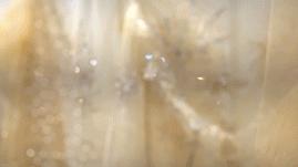 昆凌唐嫣谁漂亮,昆凌婚纱和baby婚纱