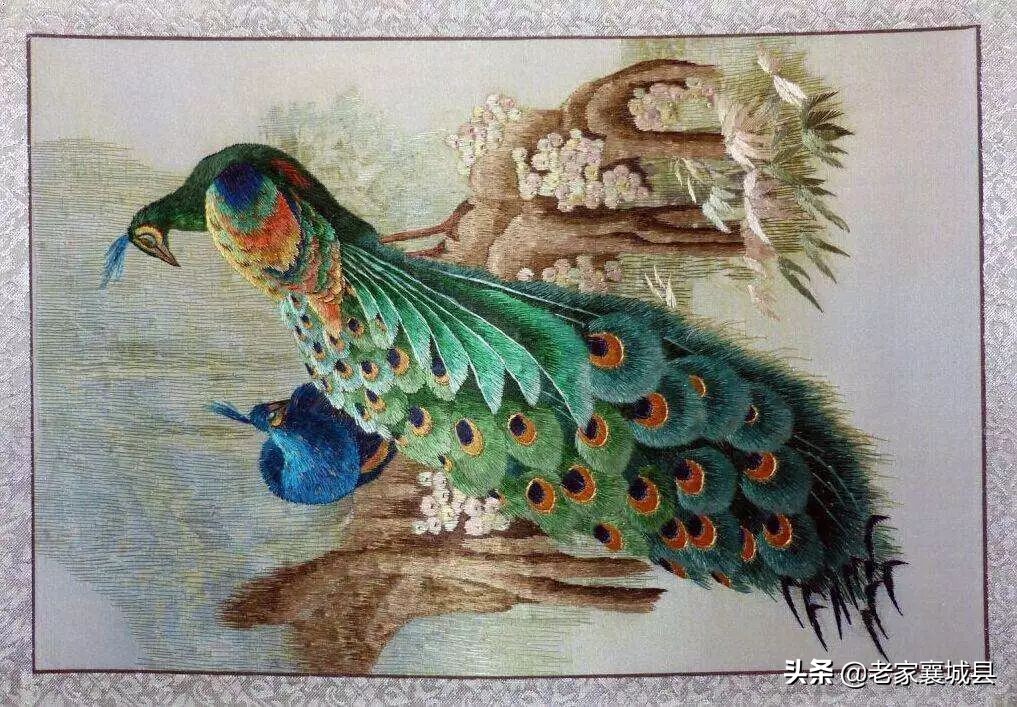 简历厉害,厉害了我的国年轻观众为祖国点赞