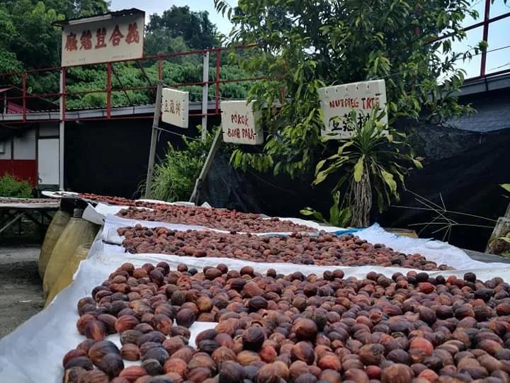 槟城土特产店推荐,槟城必吃的零食