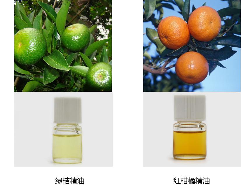 绿薄荷香薰精油作用 (绿橘香氛精油怎么用)