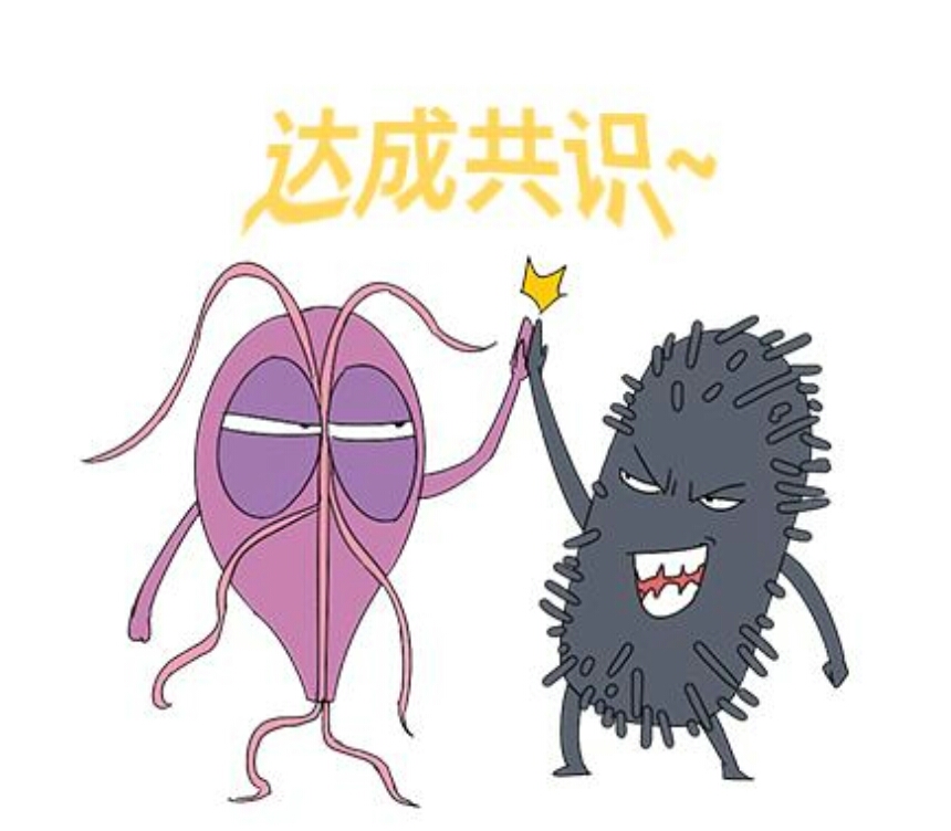 男人的三角裤跟四角裤的区别,男生三角裤舒服还是四角裤舒服