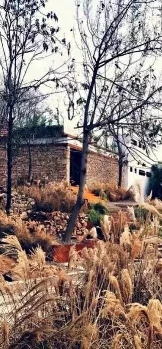 她给破败乡村动了个大手术，2年跨进“后现代”，艺术青年扎堆