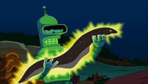 小伙玩了一下电鳗，直接口吐白沫倒下，我们该怎么和电鳗玩耍？