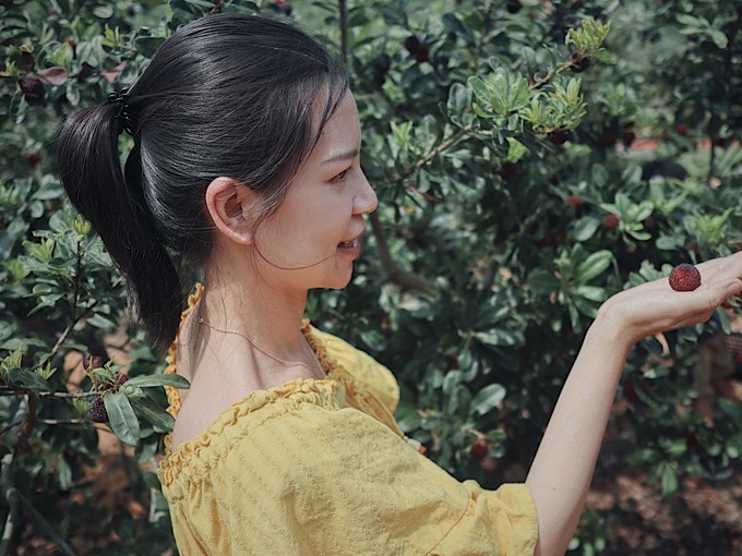 火山岛旅游攻略自由行包车,火山岛三天两晚游