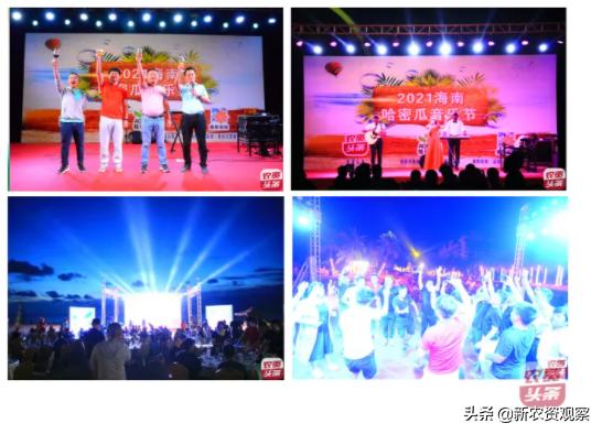 海南哈密瓜大市场,海南哈密瓜市场前景