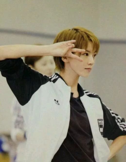 宝冢歌剧团现役男役盘点,宝冢歌剧团男役魅力