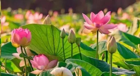 说清一个人财运的话,如何看待一个人的财运观