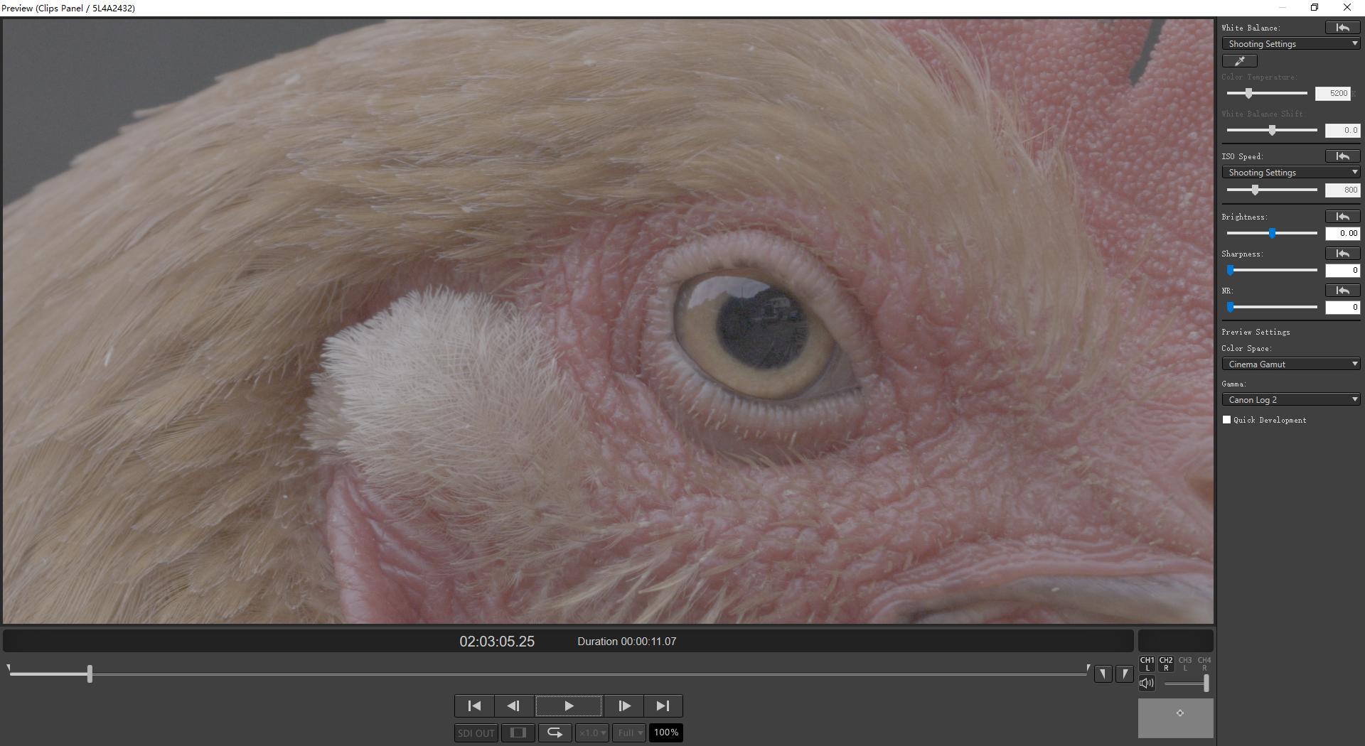 佳能r5用哪款cfe最好,佳能r5各种模式该怎么选