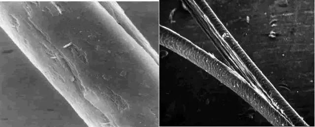 你的头发为什么会崩掉,头发干枯分叉怎么修复