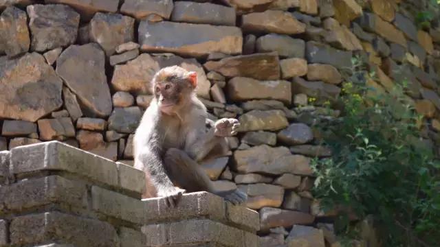长治通天峡景区,长治旅游集散中心去通天峡