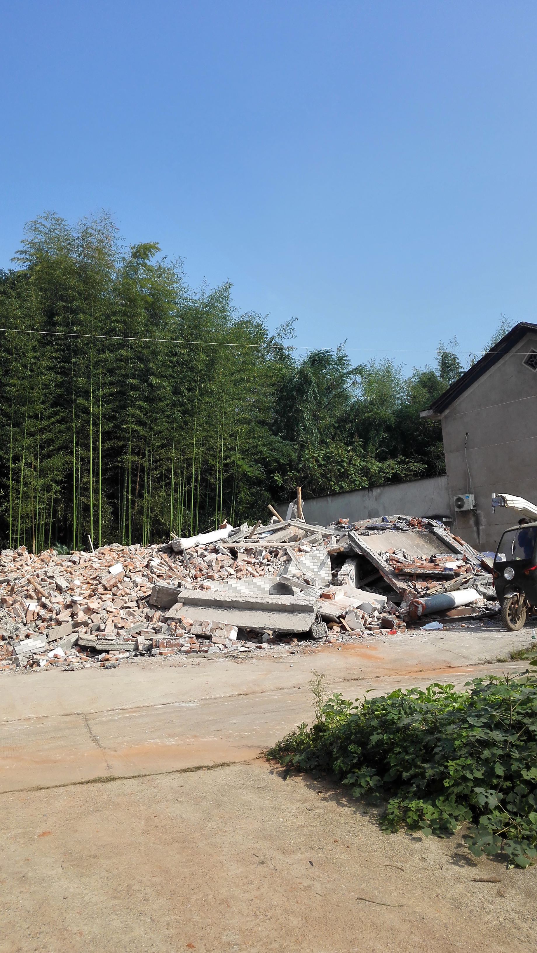湖南最好的锦鲤养殖基地,湘潭锦鲤养殖