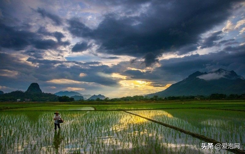 阳春田园风景视频,阳春春湾镇风景视频