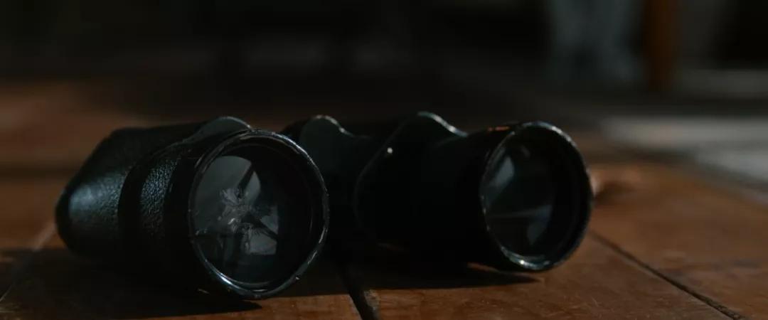 冷门惊悚片合集,冷门惊悚片免费