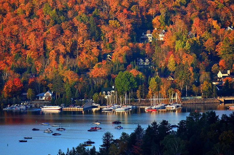 加拿大基本收入法案,加拿大财务报告流程