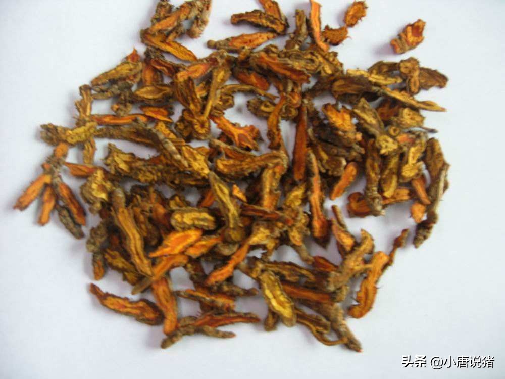 一位山村老养猪人的笔记，治疗猪瘟的四付中药处方